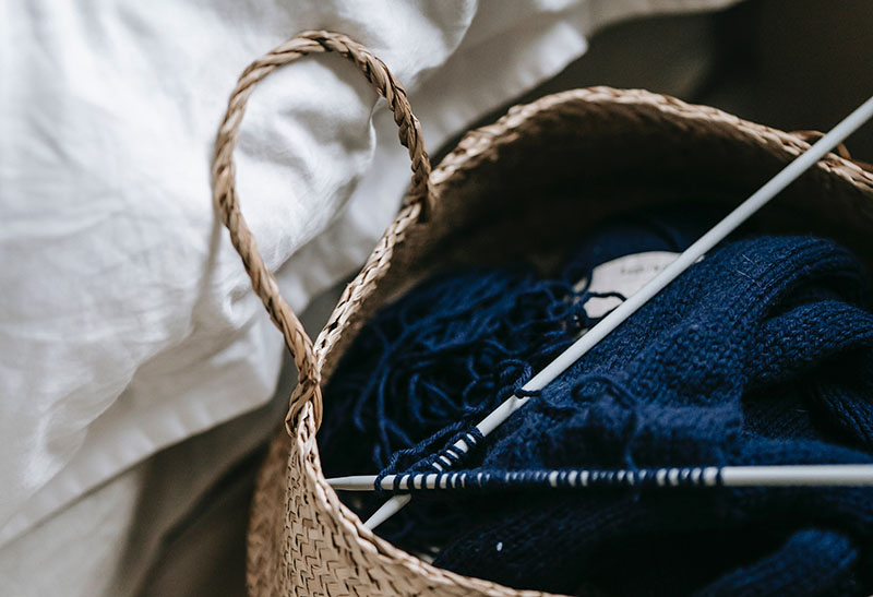 Pexels Sam Lion 6001441